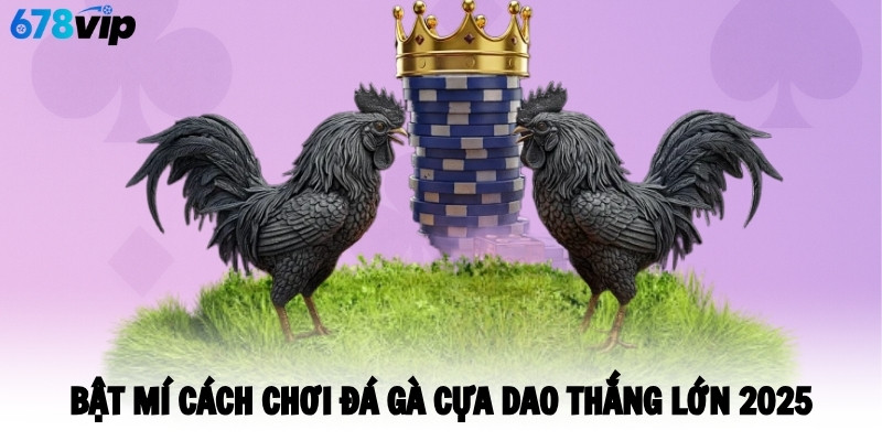 Bật mí cách chơi đá gà cựa dao thắng lớn 2025