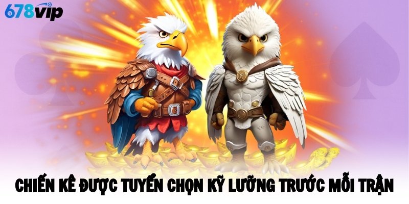Chiến kê được tuyển chọn kỹ lưỡng trước mỗi trận
