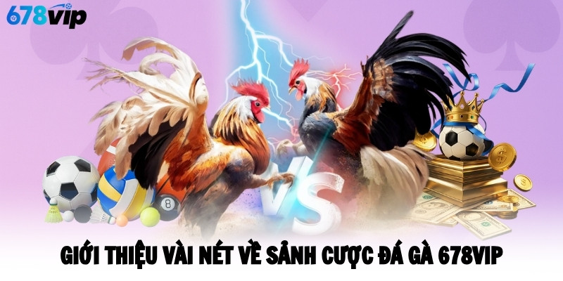Giới thiệu vài nét về sảnh cược đá gà 678VIP